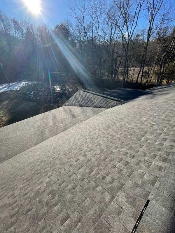 Shingle Roofs