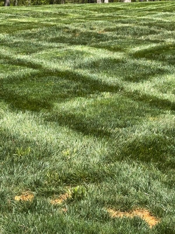 Mowing