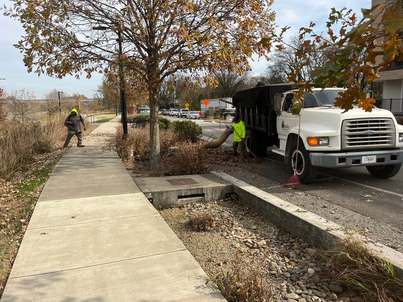 Landscape Maintenance