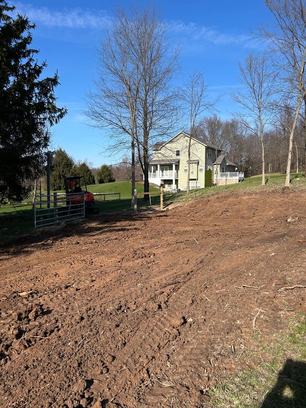 Brush Removal/Hogging