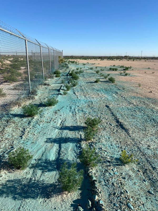 Weed Remediation
