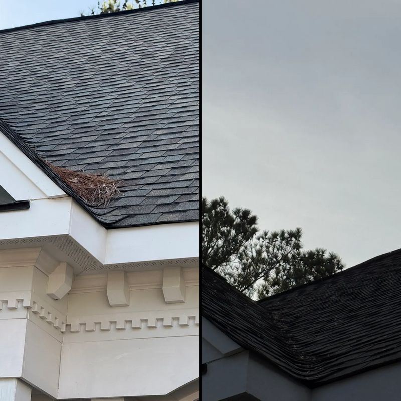 Gutter Cleaning 