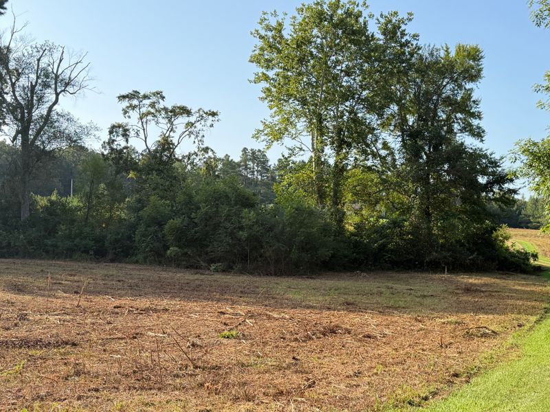 Land Clearing