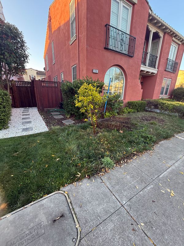Landscaping