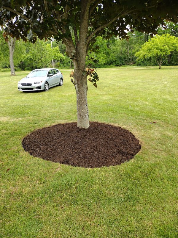 Landscaping