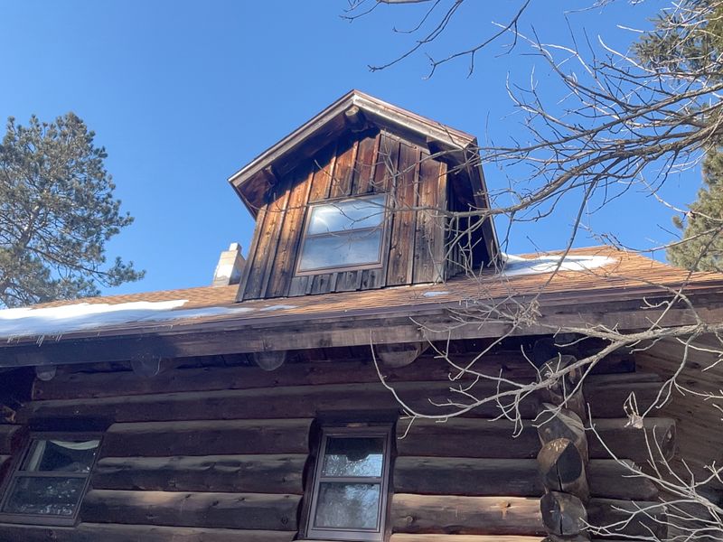 Log Home Restoration