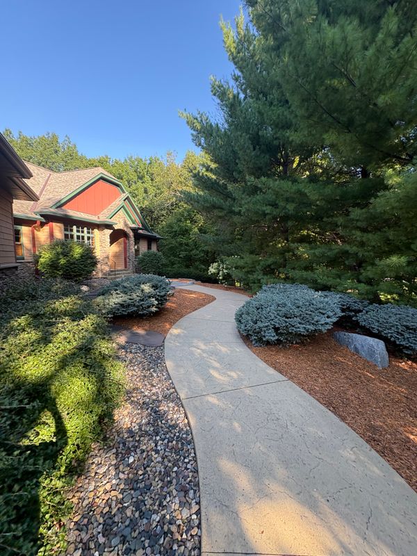 Tree and Shrub Care