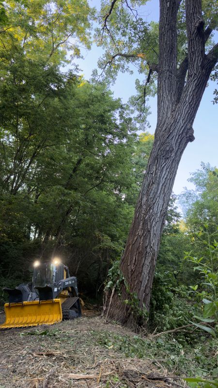 Timber Mulching & Clearing