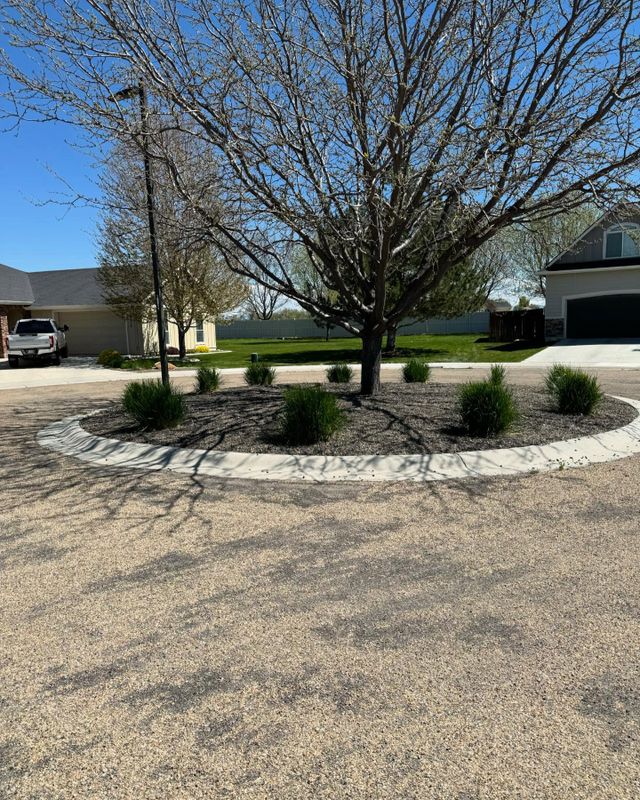 Landscape Design & Installation