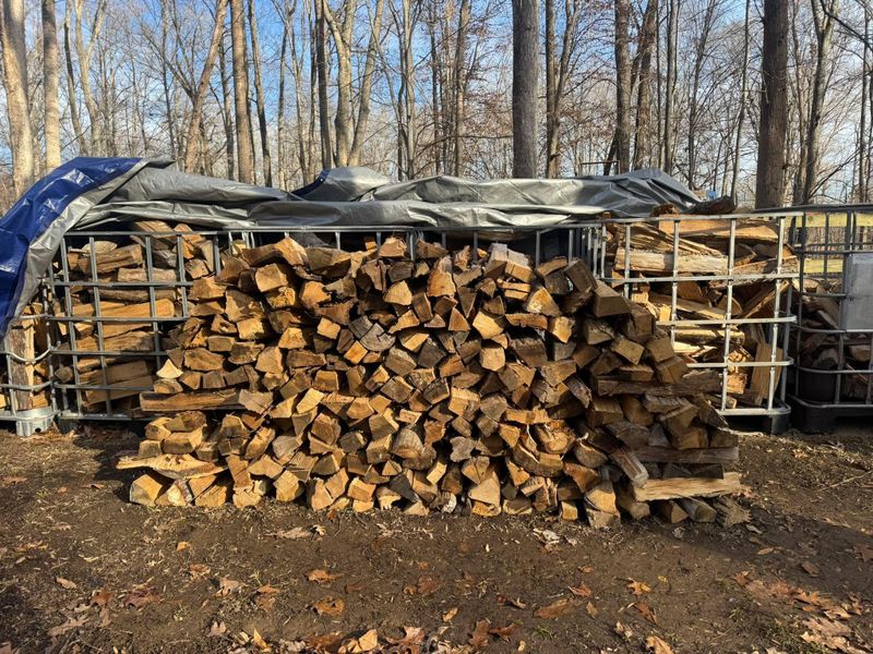Seasoned firewood