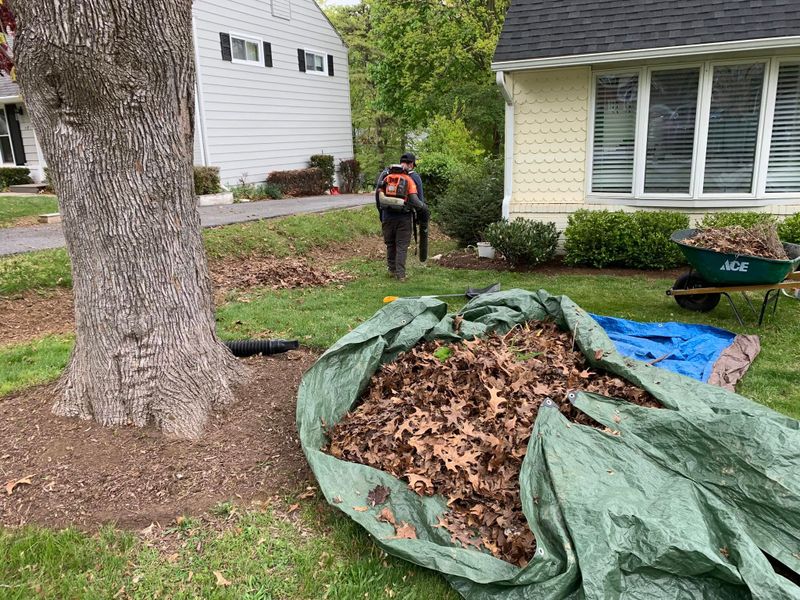 Tree & Shrub Care