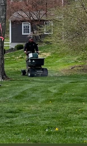 Aerating and overseeding