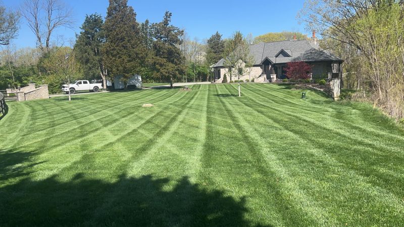 Lawn Care