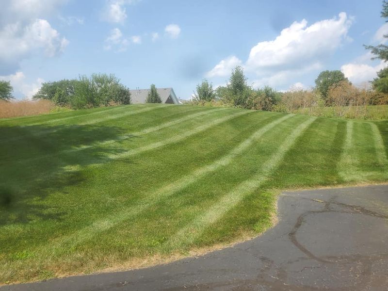 Lawn Mowing