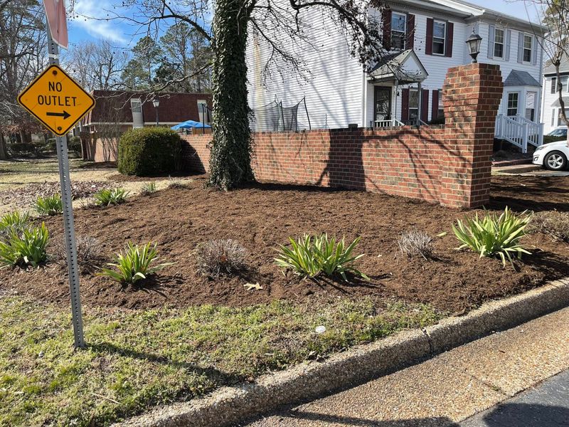 Debris Removal and Cleanup