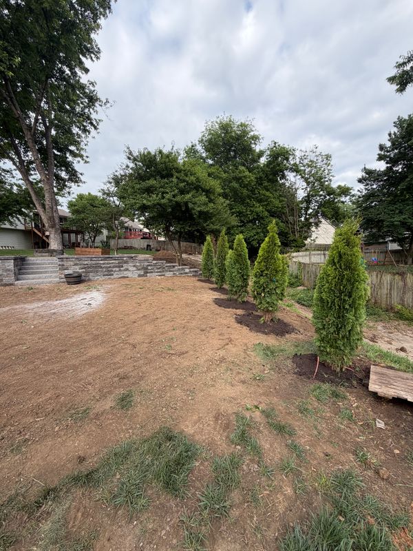 Landscape Installation