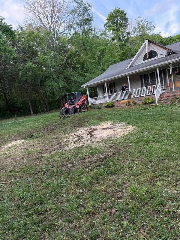 Stump Removal