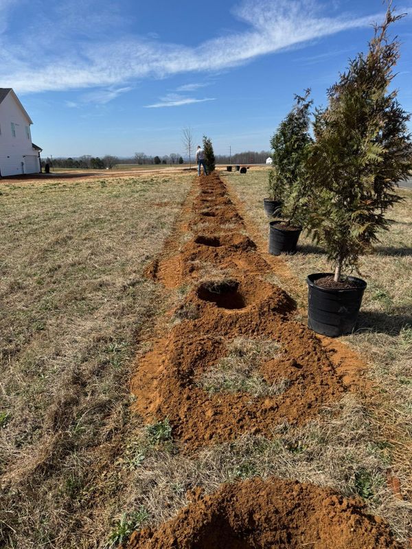 Flower Bed Installation