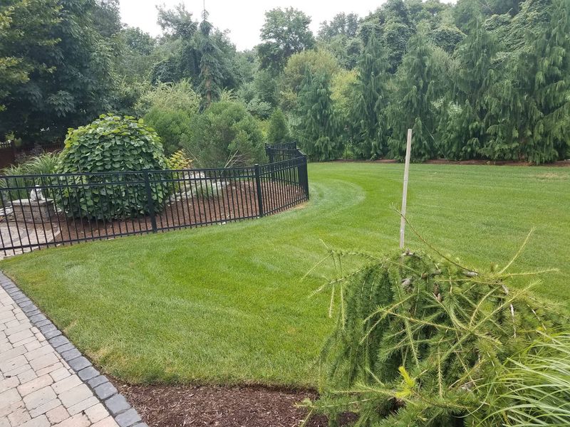 Paver Walkway Installation