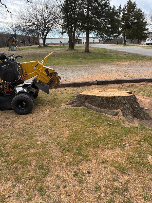 Stump Removal