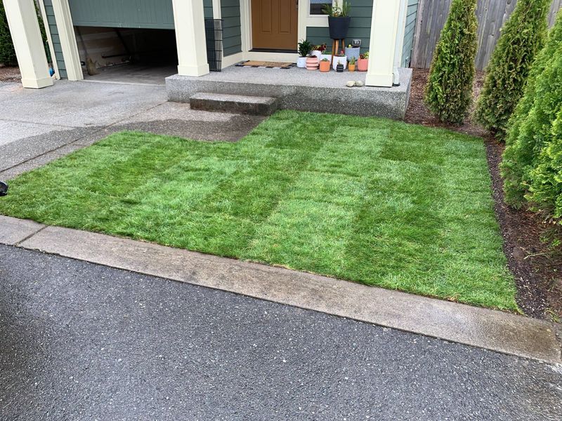Landscaping