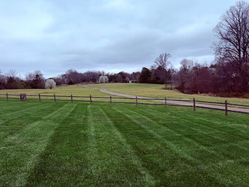 Landscaping