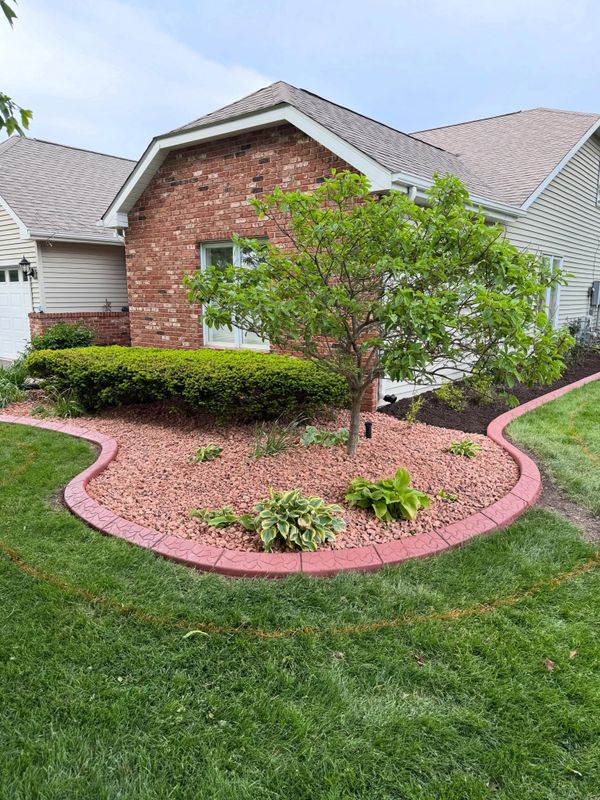 Landscape Design & Installation