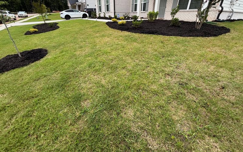 Lawn Maintenance
