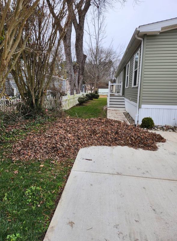 Fall and Spring Clean Up