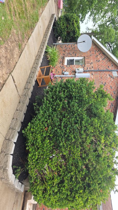 Mulch Installation