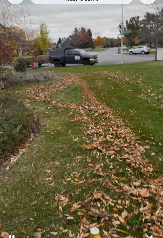 Lawn Aeration