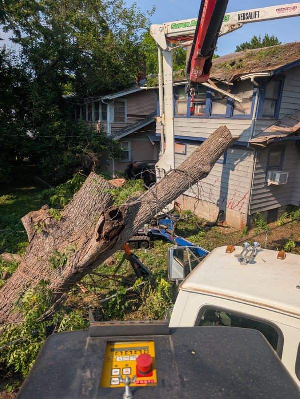 Utility Line Clearance