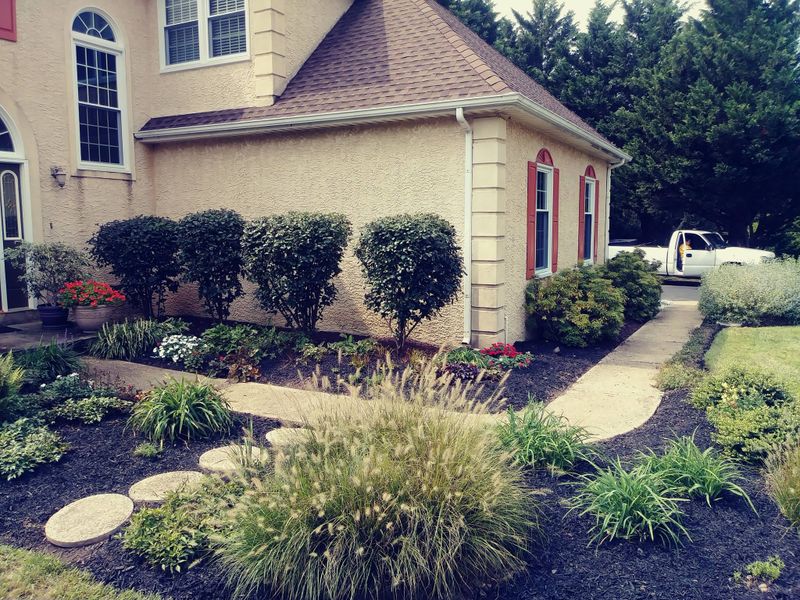 Lawn Care