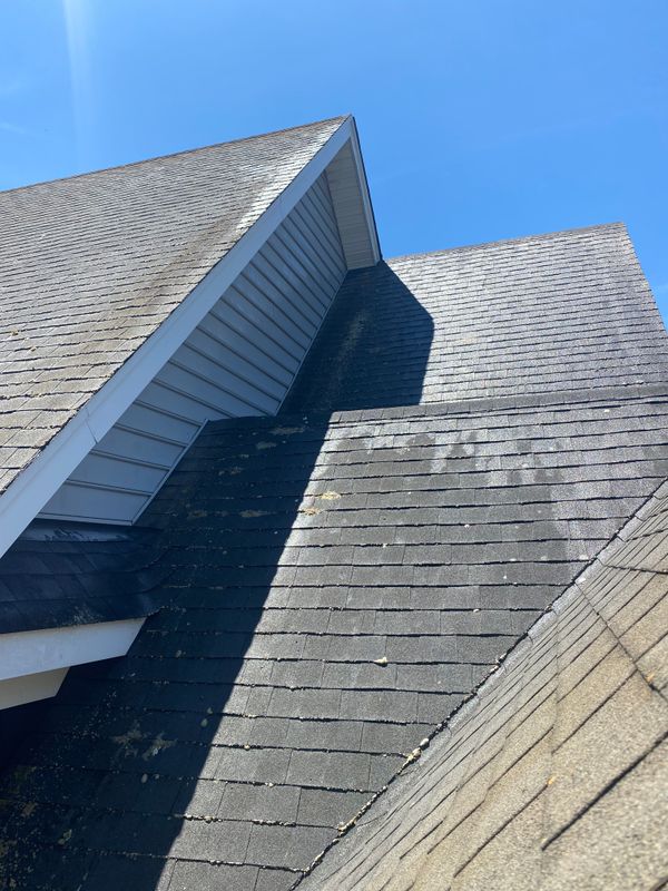 Roof Cleaning