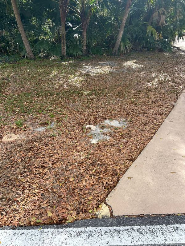 Lawn Care and Maintenance