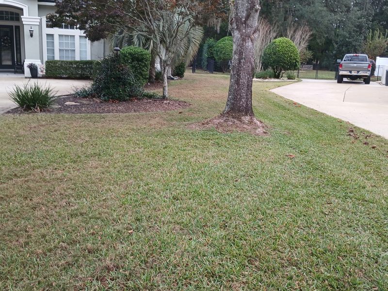 Shrub Trimming