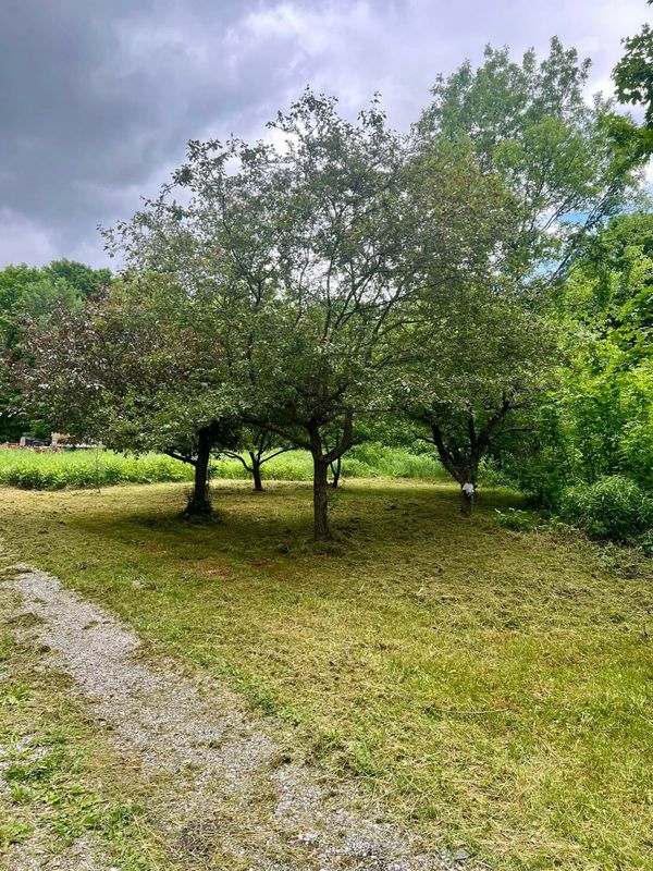 Landscaping and Hardscaping