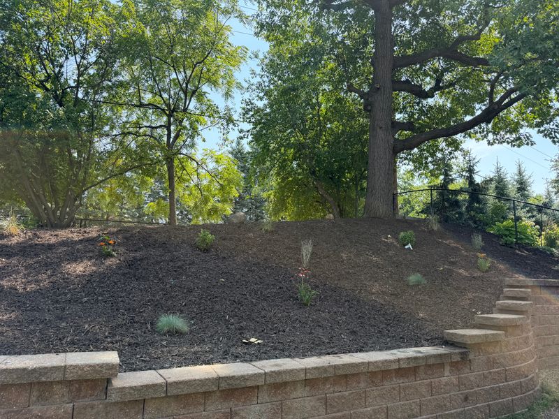 Landscape Installation