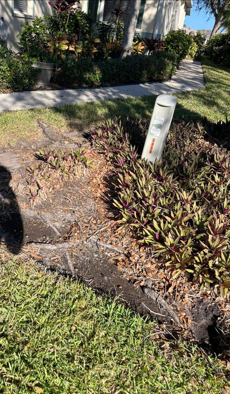 Stump Removal