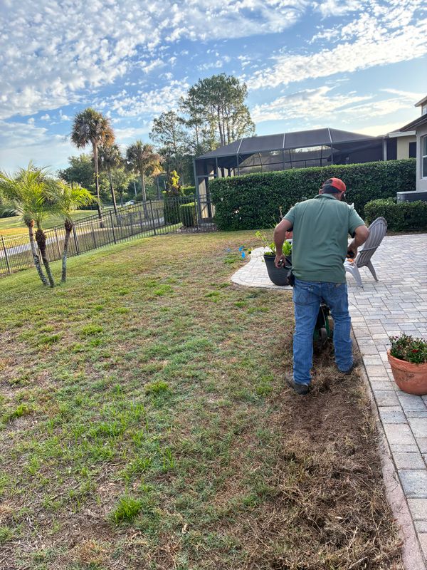 Sod Installation