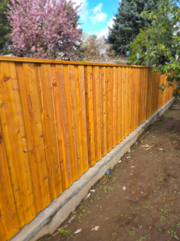 Fencing