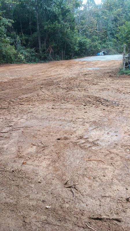 Site Preparation and Clearing