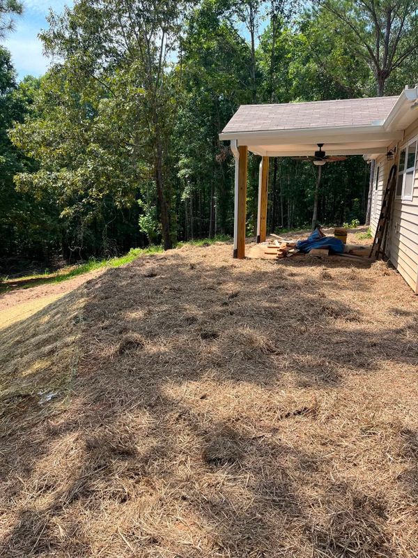 Sod & Irrigation