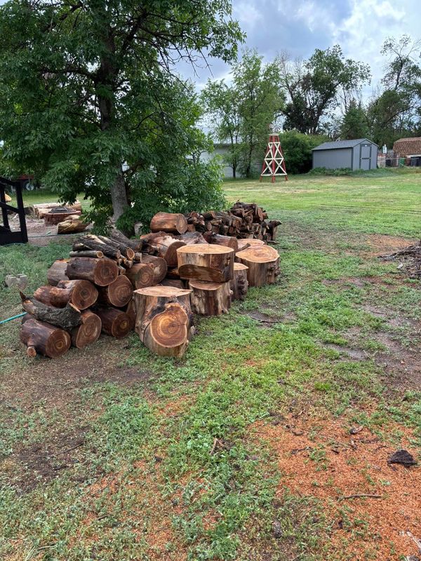 Tree Removal gallery