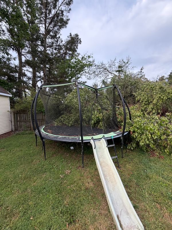 Hazardous Tree Removal