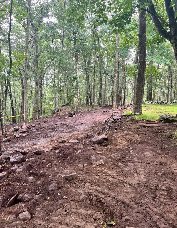 Land Clearing