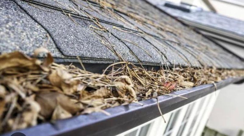 Gutter Cleaning