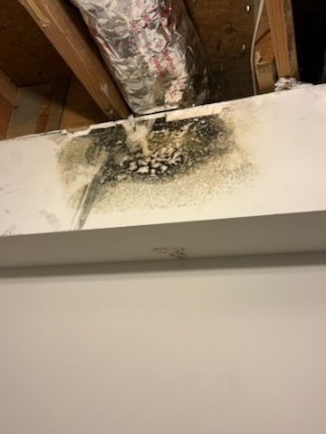Kitchen Renovation
