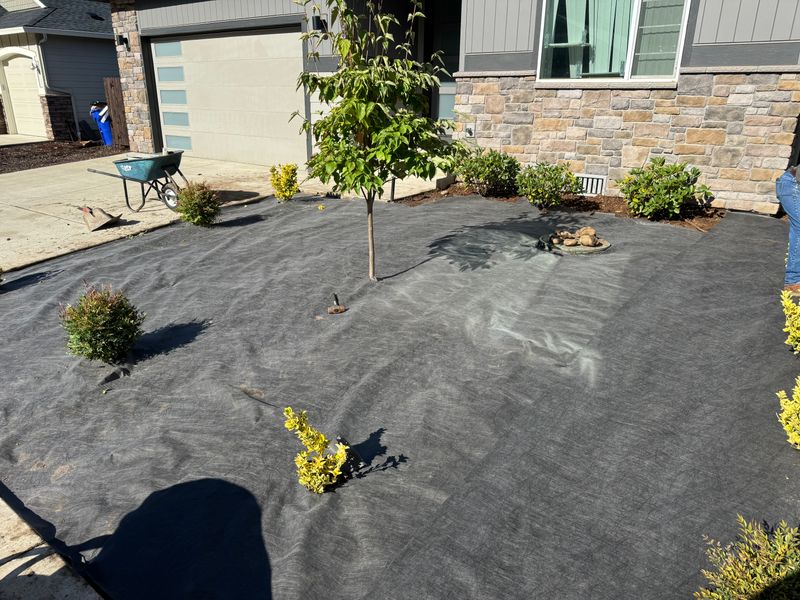 Shrub Trimming