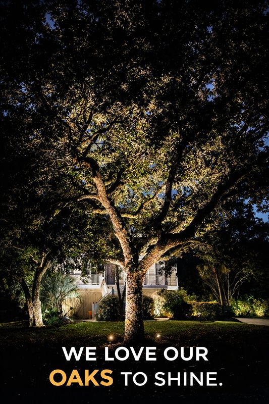 Landscape Lighting Repairs